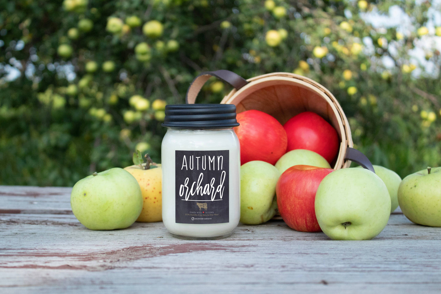 13 oz Mason Jar Candle: Autumn Orchard